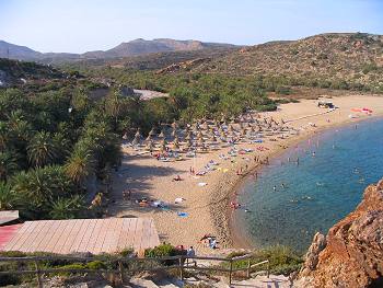 Vai - palm tree forest -  Crete Island Greece