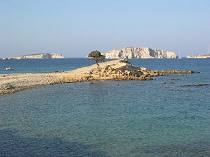 Monodendri, Lipsi Monodendri, Lipsi