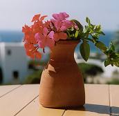 Kavos hotel in Naxos Island - Apartments, Villas, Suites