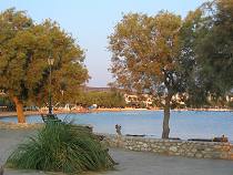 Aliki Livadi in Paros