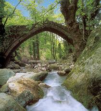Pelion Pelion